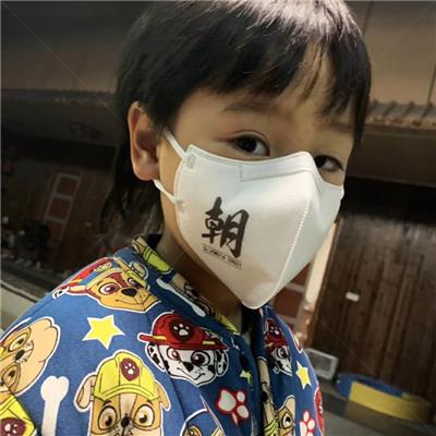 朝美S9501 KN95防塵口罩圖片2