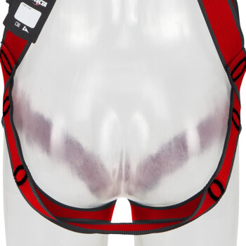 3M1161729保泰特P200五點式全身式安全帶圖片3