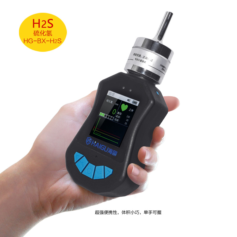 海固HG-BX-H2S硫化氫泵吸式氣體檢測儀圖片2