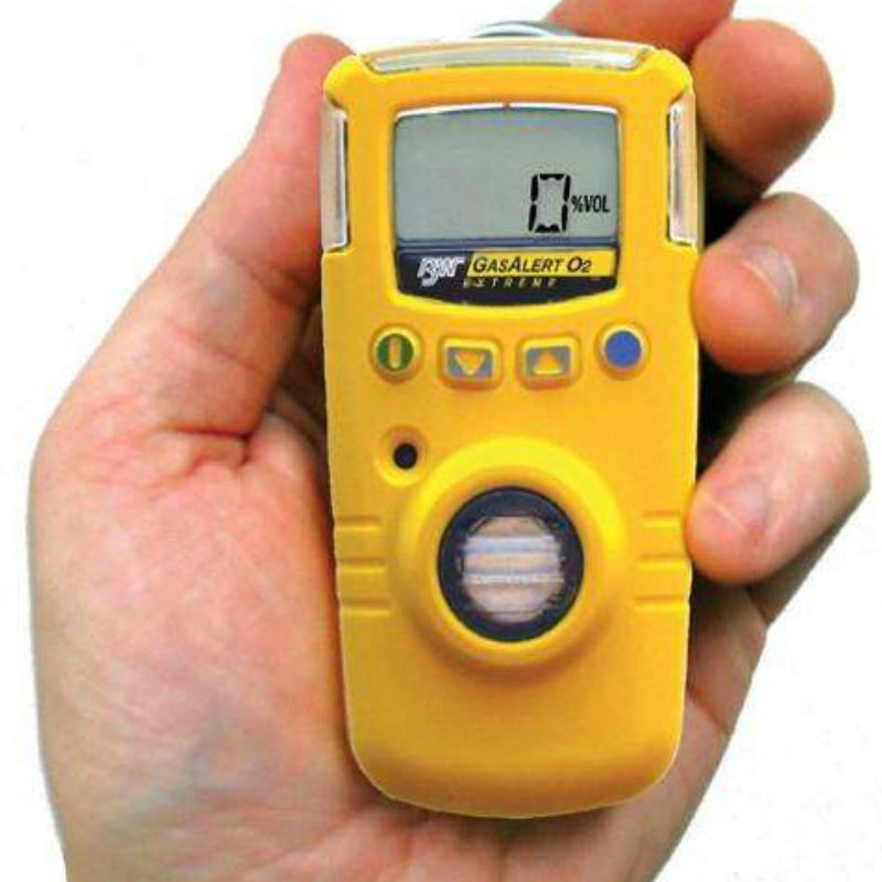 BW GAXT-G-DL便攜式單一臭氧氣體檢測儀圖片4