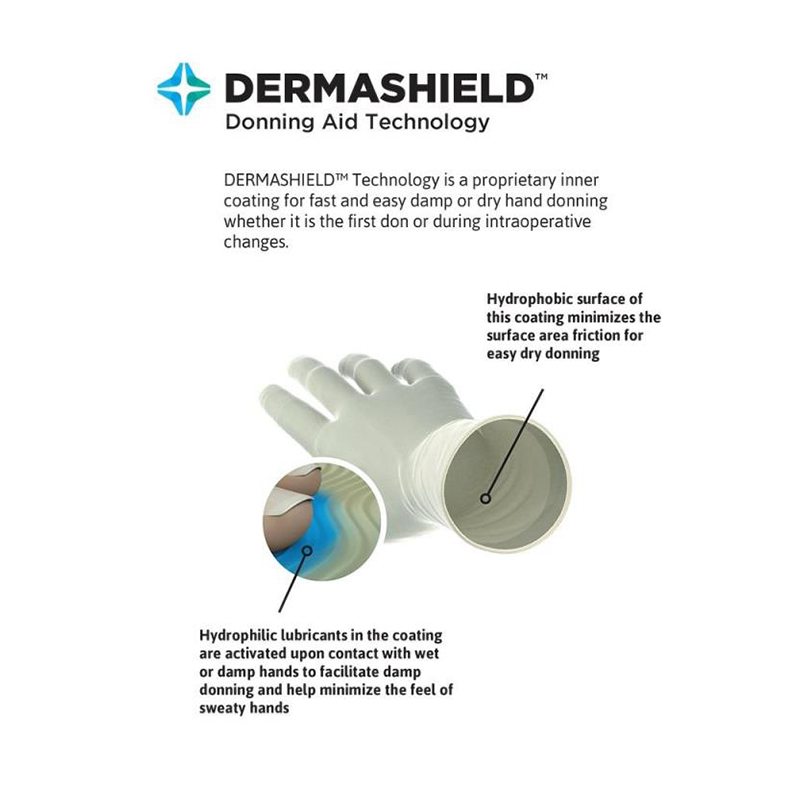 安思爾GAMMEX 340006080氯丁橡膠外科手套圖片3 安思爾GAMMEX 340006080氯丁橡膠外科手套圖片3