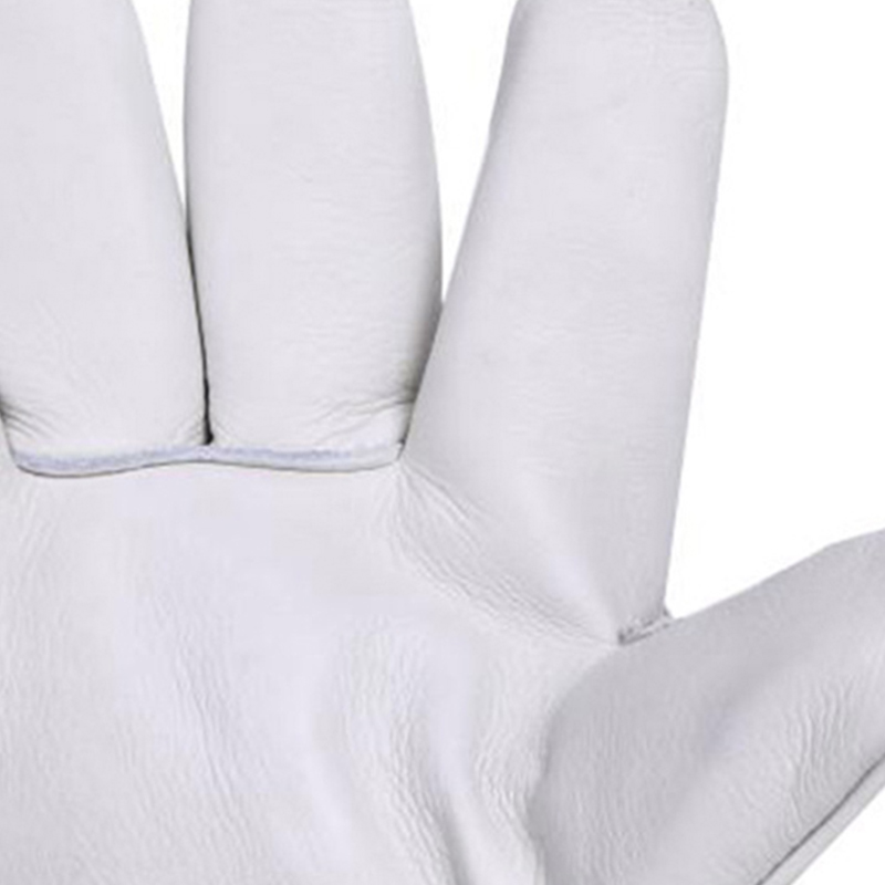 定和DH6301防液氮耐低溫手套冷庫防寒防凍手套36cm圖片1