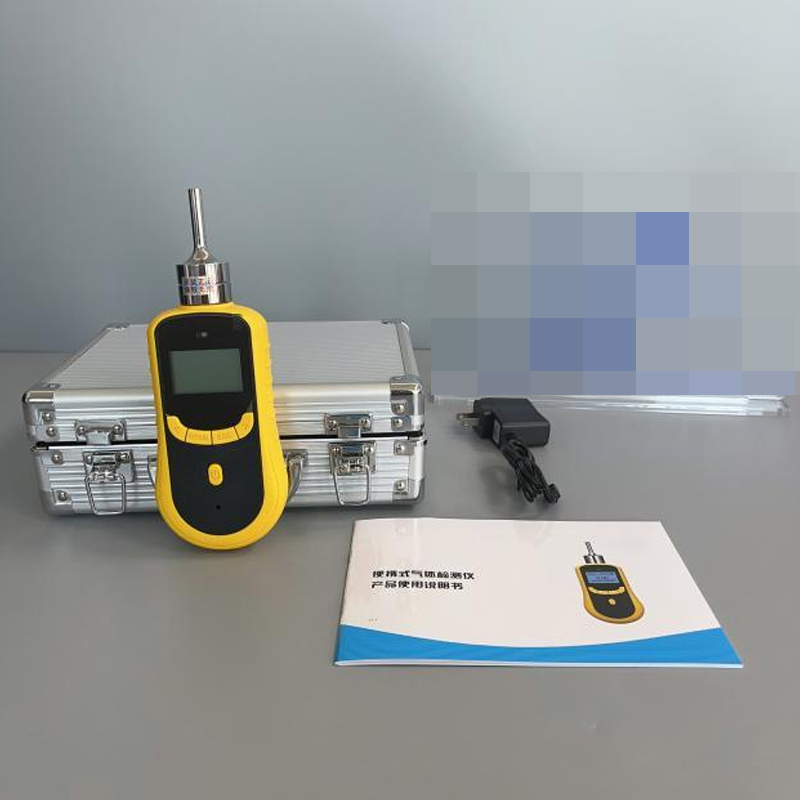 熱持RC-1100便攜式單氣體檢測儀圖片1