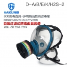 海固HG-800 D-A/B/E/K/H2S-2綜合防毒面具套裝