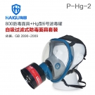 海固HG-800 P-Hg-2全面罩水銀防毒面具