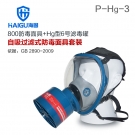 海固HG-800 P-Hg-3全面罩水銀防毒面具