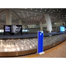 SMACH RC1010通道式放射性監測系統