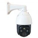 大立DLSC-QL雙光譜球型測溫攝像機(jī)