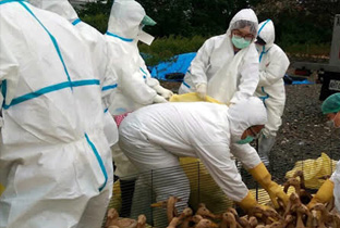 禽流感防護(hù)用品