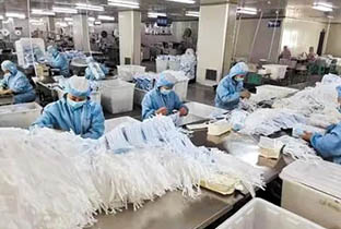 正規醫用外科口罩廠家