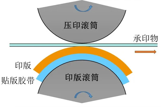 圖1貼版雙面膠帶應(yīng)用與柔版印刷基本示意