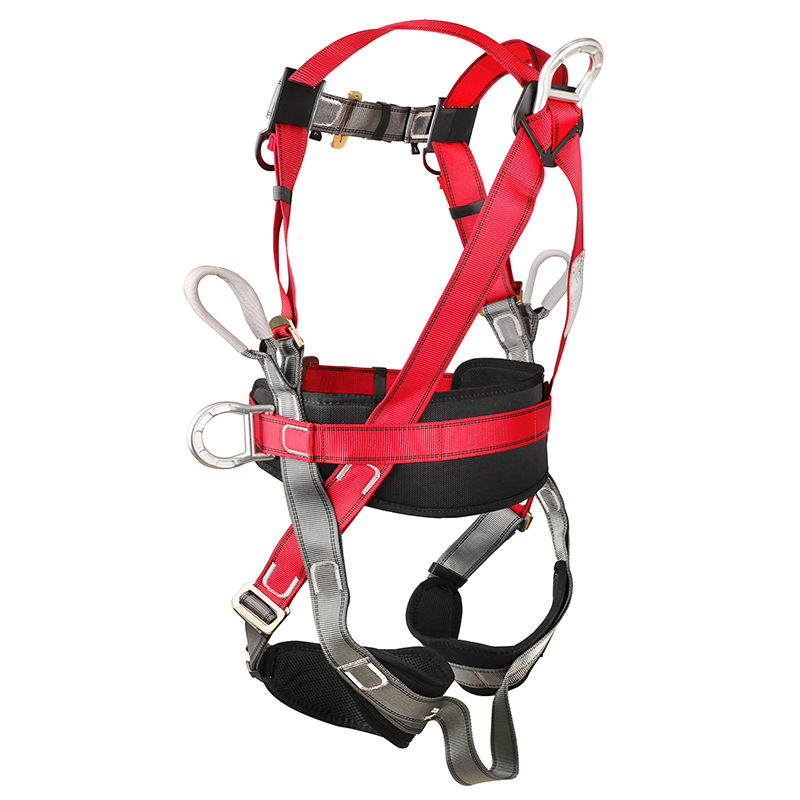 羿科60816705 PN32全身式安全帶圖片