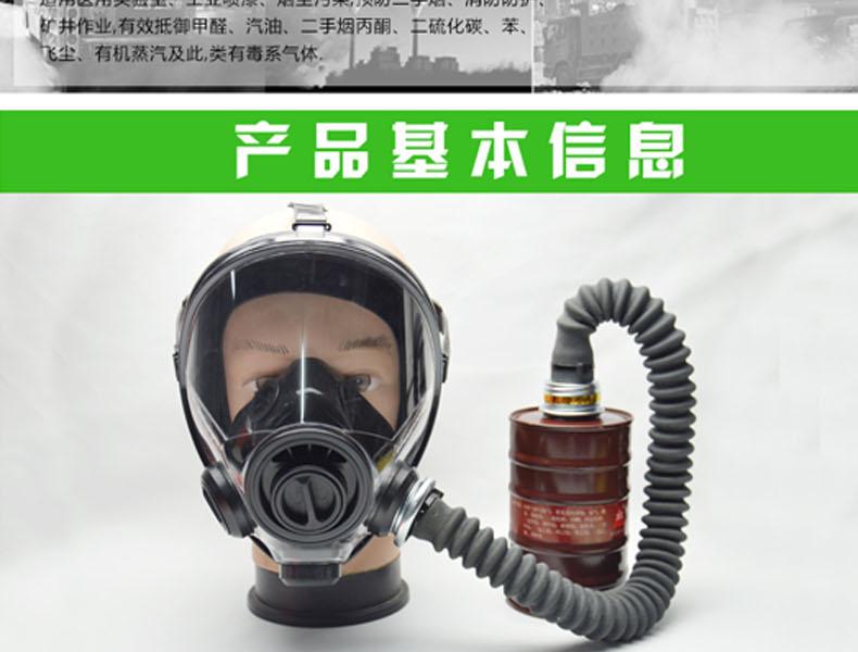 生寶M600防毒面具圖片2