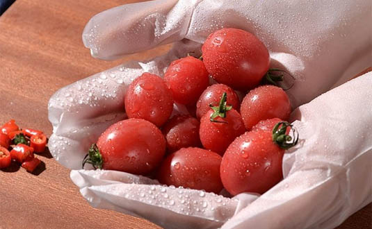 TPE手套是食品級(jí)的嗎