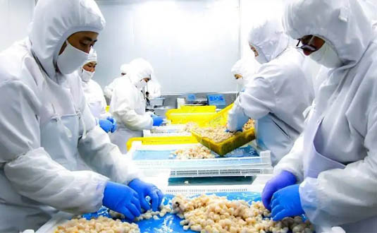 乳膠和丁腈手套哪個(gè)耐用