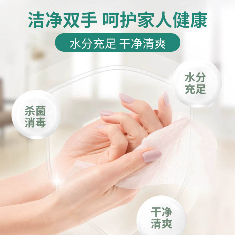 魯爾夫60抽75%醫用酒精濕巾圖片3