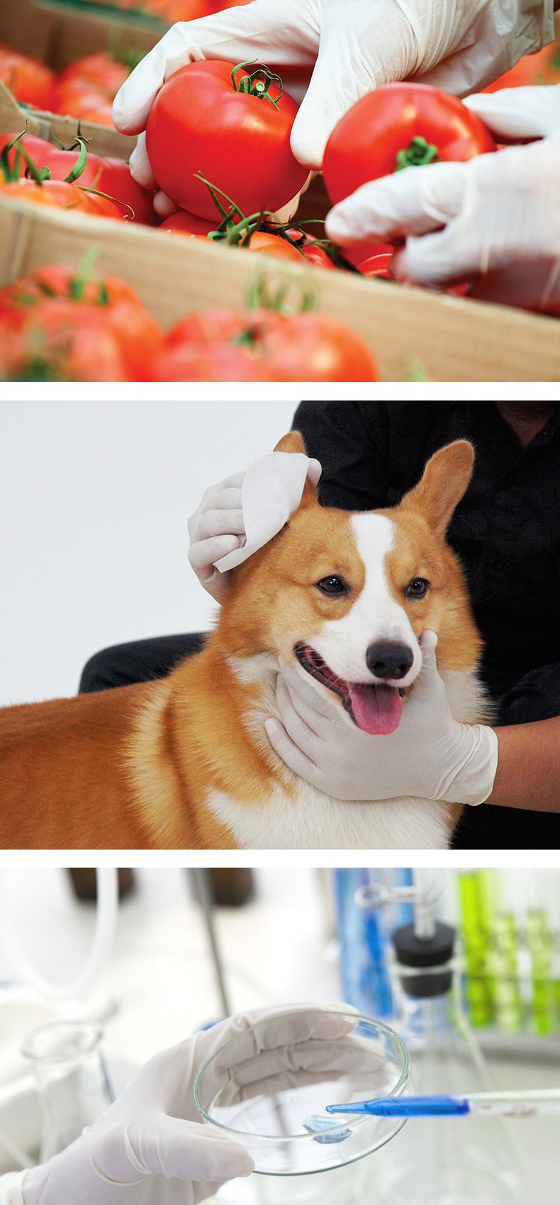 施睿康F860天然乳膠檢查手套圖片8