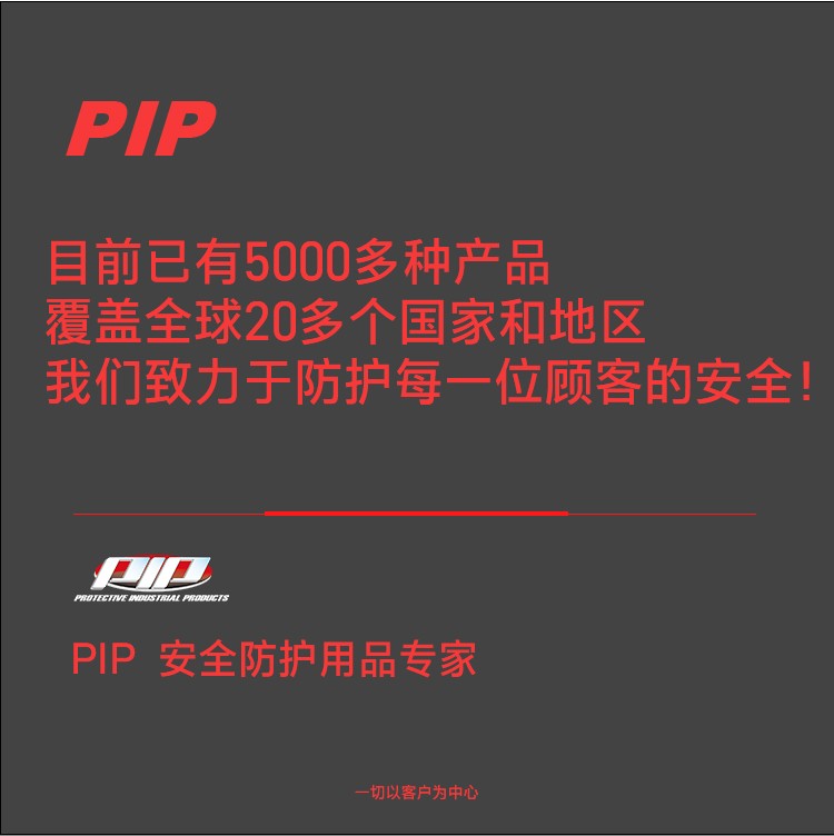PIP 393-FCX10折疊耳帶式可水洗防塵口罩圖片4