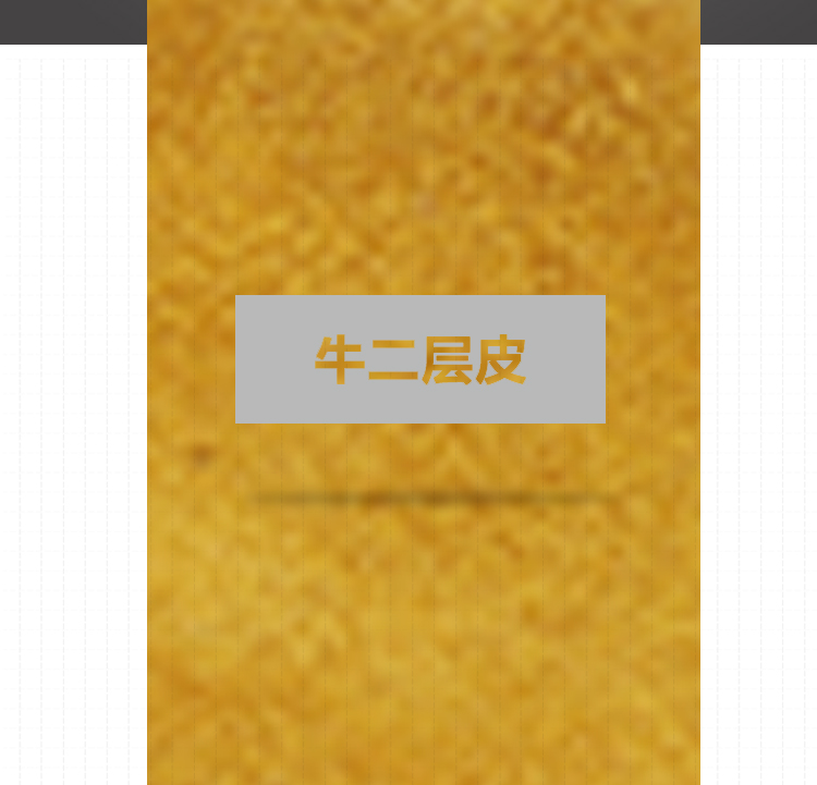 友盟AP-9006金黃色拉鏈焊槍保護(hù)套圖片2