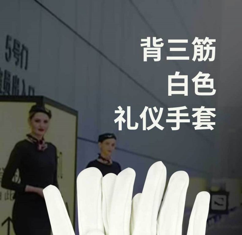 漢盾HD-GP5504滌棉背三筋禮儀勞保手套1