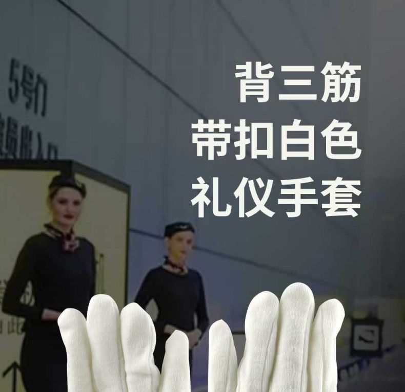 漢盾HD-GP5502滌綸背三筋帶扣禮儀勞保手套1