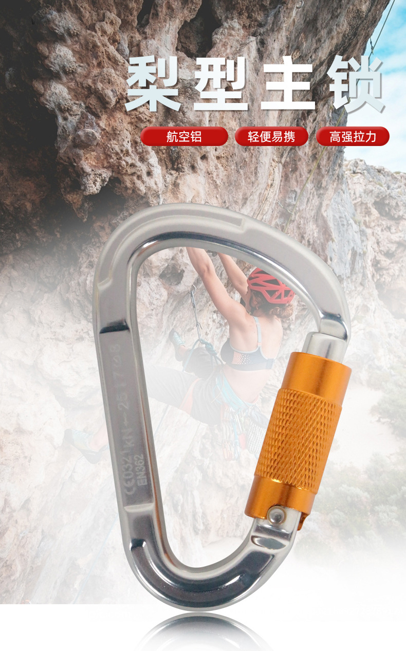 速降安全主鎖D型自動(dòng)鎖1