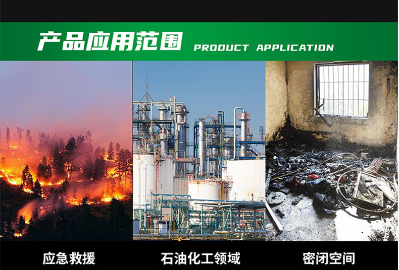 MSA梅思安10241841正壓式空氣呼吸器9L有表瓶閥AX2300 9