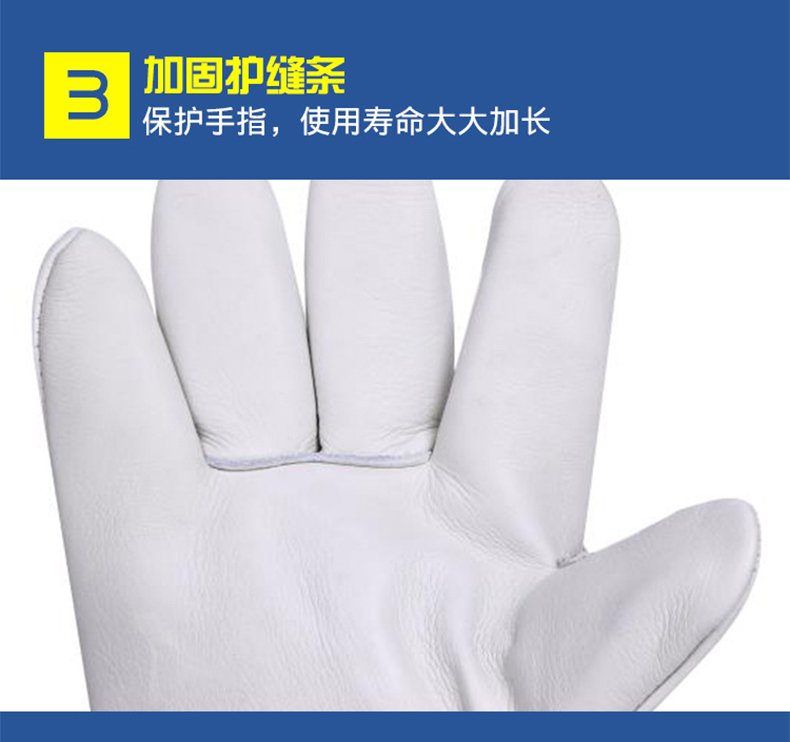 定和DH6301防液氮耐低溫手套冷庫防寒防凍手套8