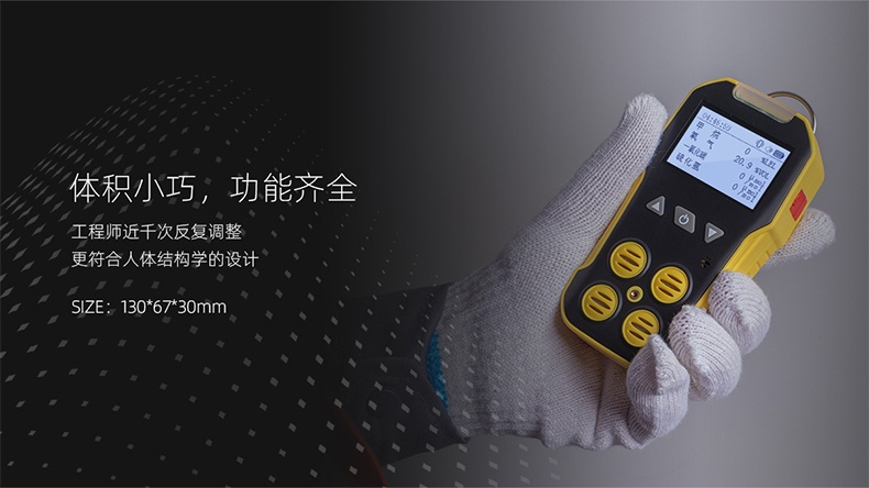 保時(shí)安BH-4A擴(kuò)散式多氣體檢測(cè)儀5.jpg