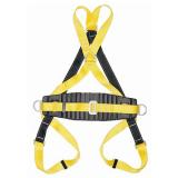 霍尼韋爾(巴固)DL-35雙掛點經濟型全身安全帶，配有定位腰帶