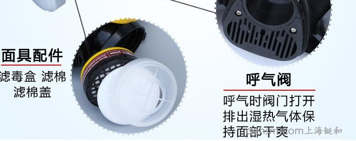 DH20154全面罩防毒面具細節圖2