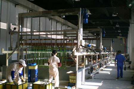 電鍍廠作業職工普通沒有佩戴相關防護用品